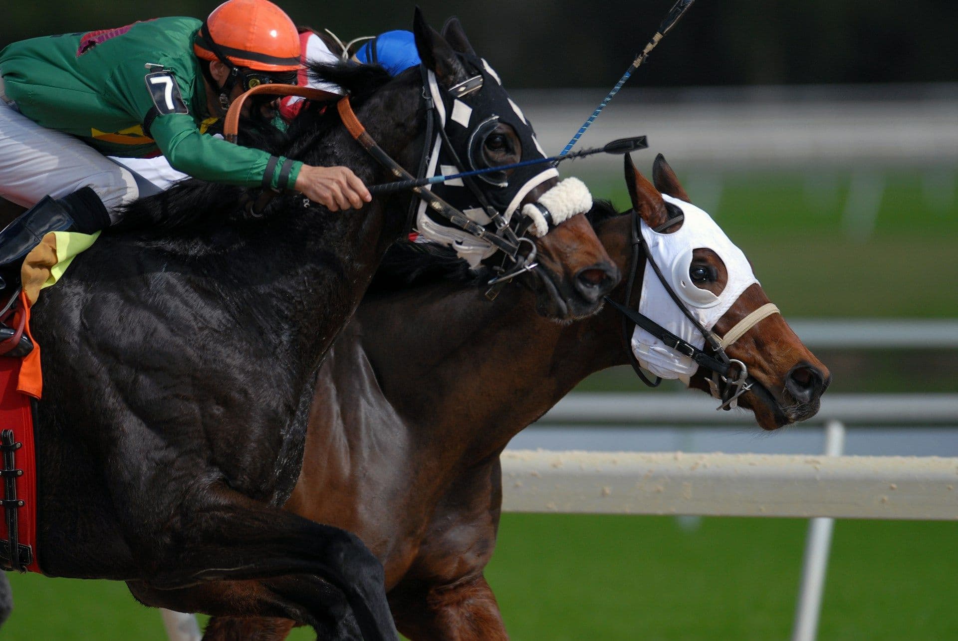 A jockey riding a hourse in a race