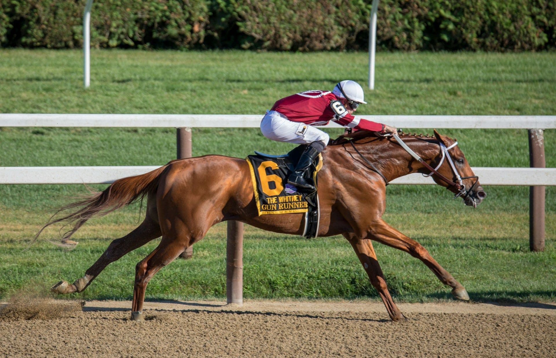 A jockey on a horse