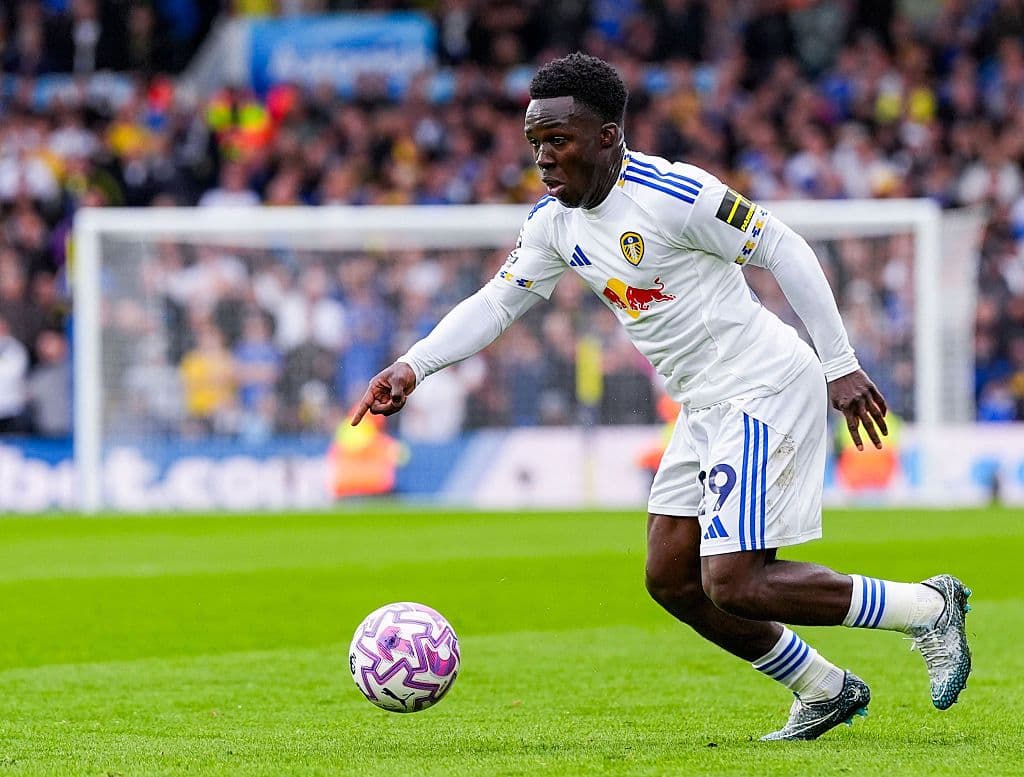 Leeds United v Newcastle United - Premier League