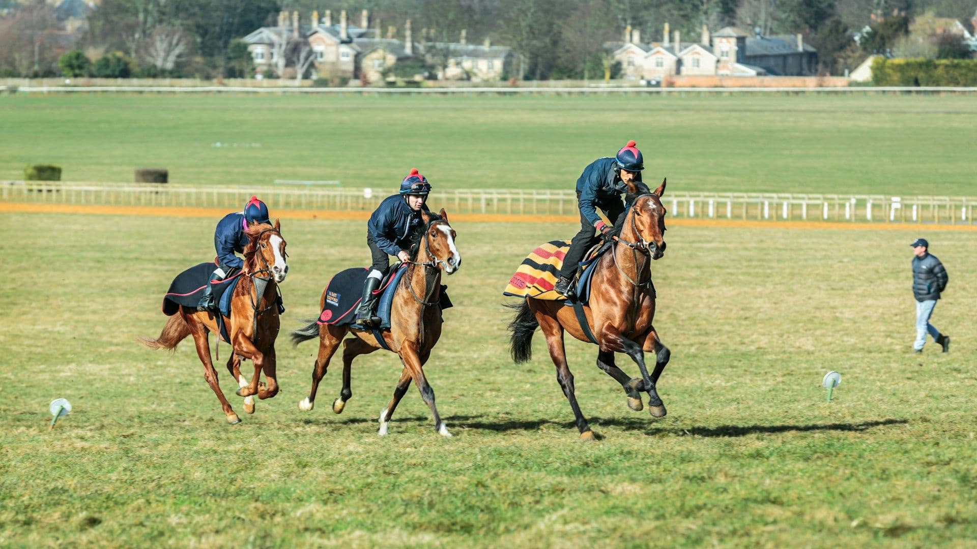 Jockeys and horses on a field