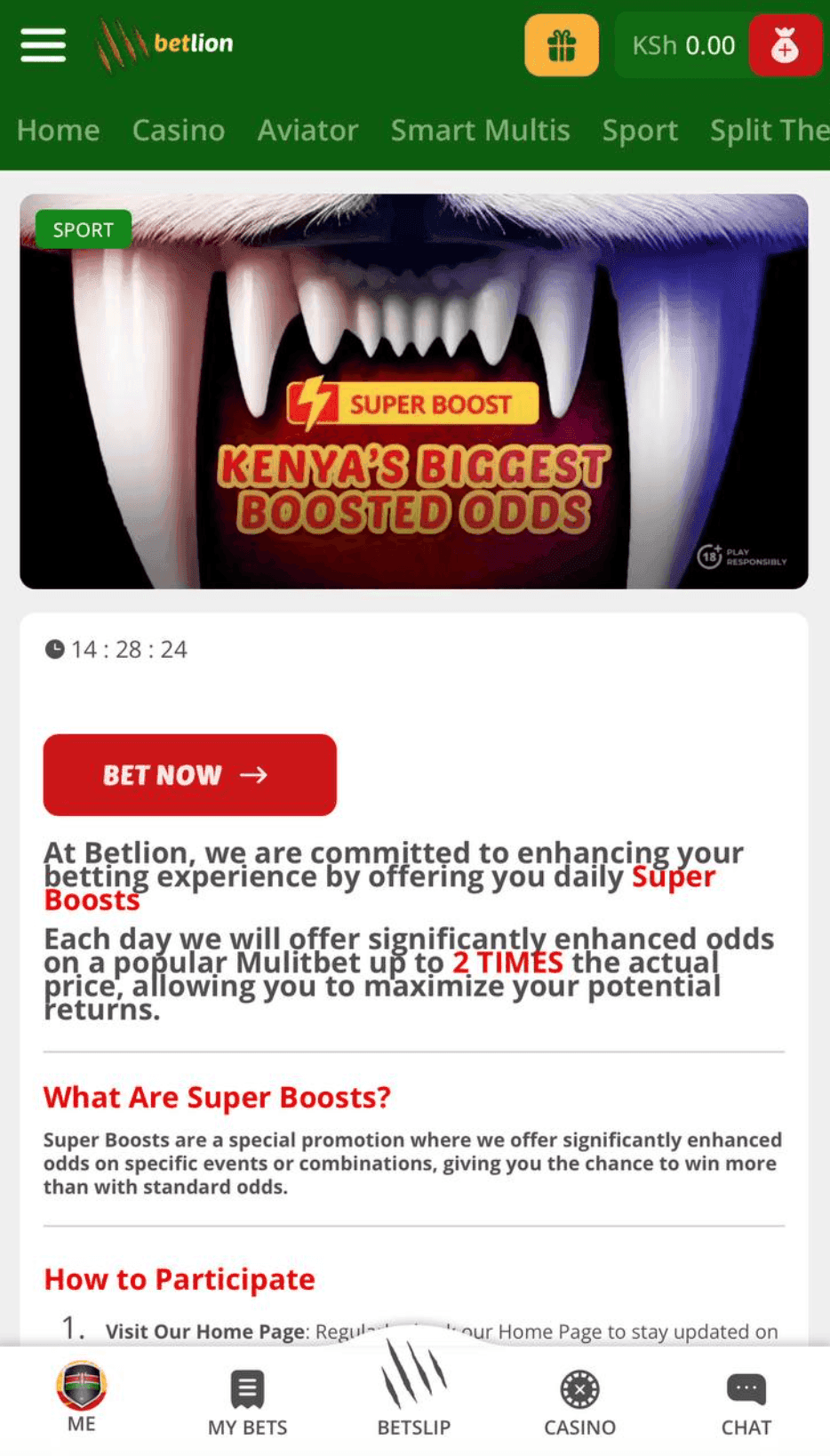 BetLion Sports Betting Promotions.png