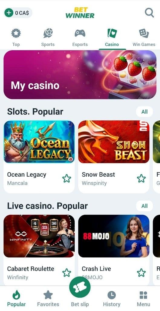 BetWinner Casino Review.jpg