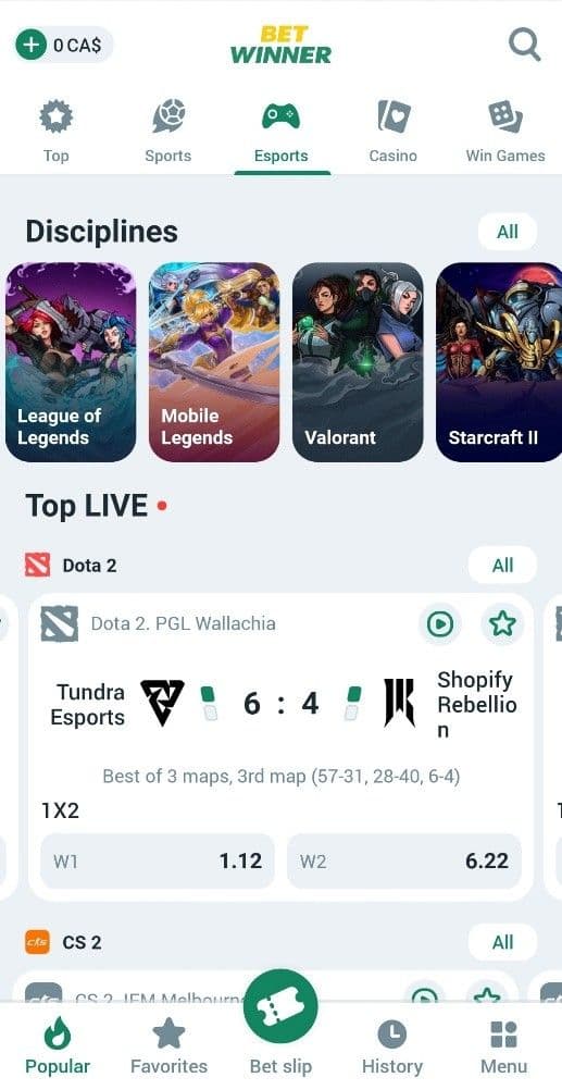 BetWinner Esports Betting Review.jpg