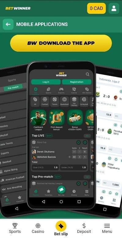 BetWinner Mobile Experience.jpg