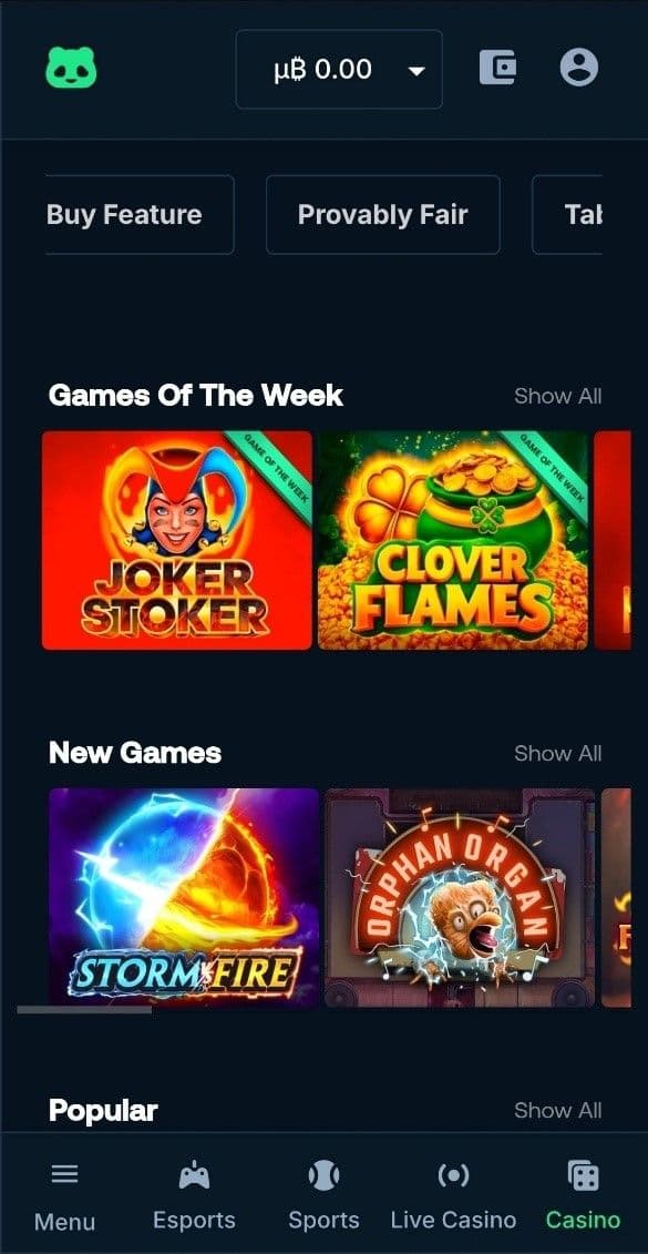 Betpanda Casino Review