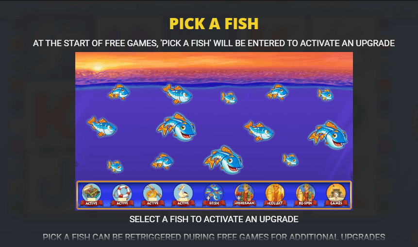 Bonuses and Key Features!