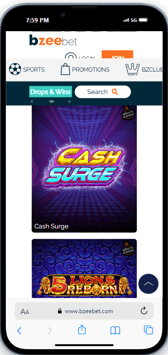 Bzeebet Casino Review.png
