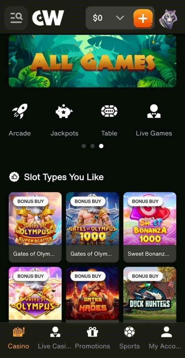 Cashwin Mobile Experience