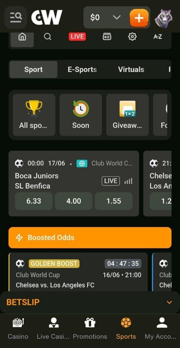 Cashwin Sports Betting Odds