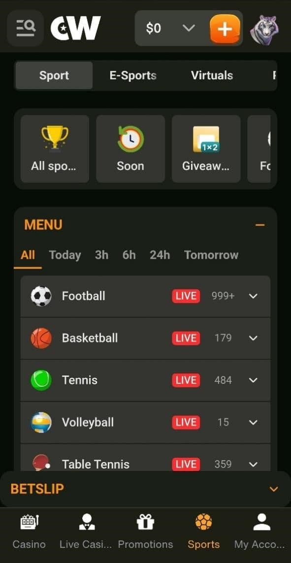Cashwin Sports Betting Review