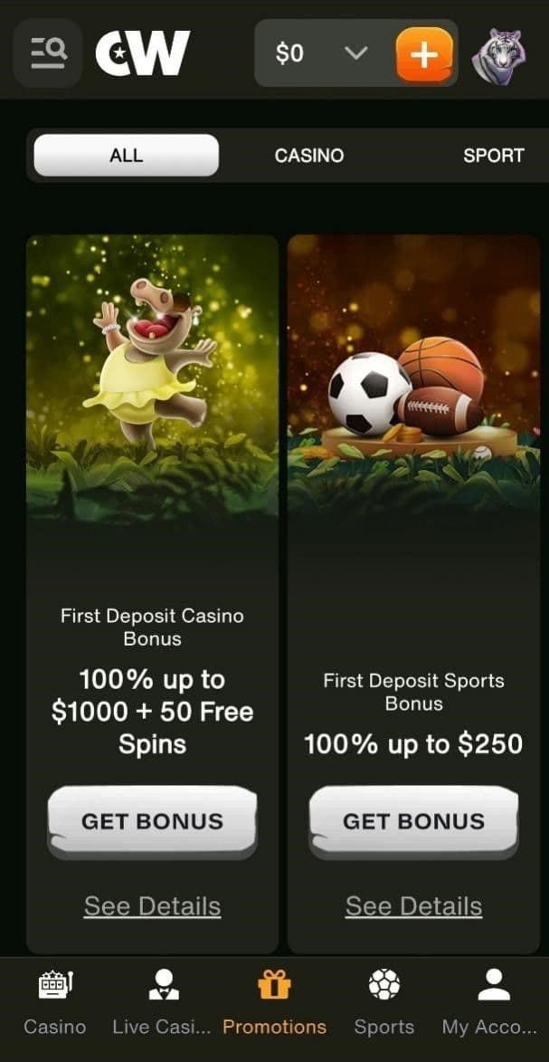 Cashwin Sports and Casino