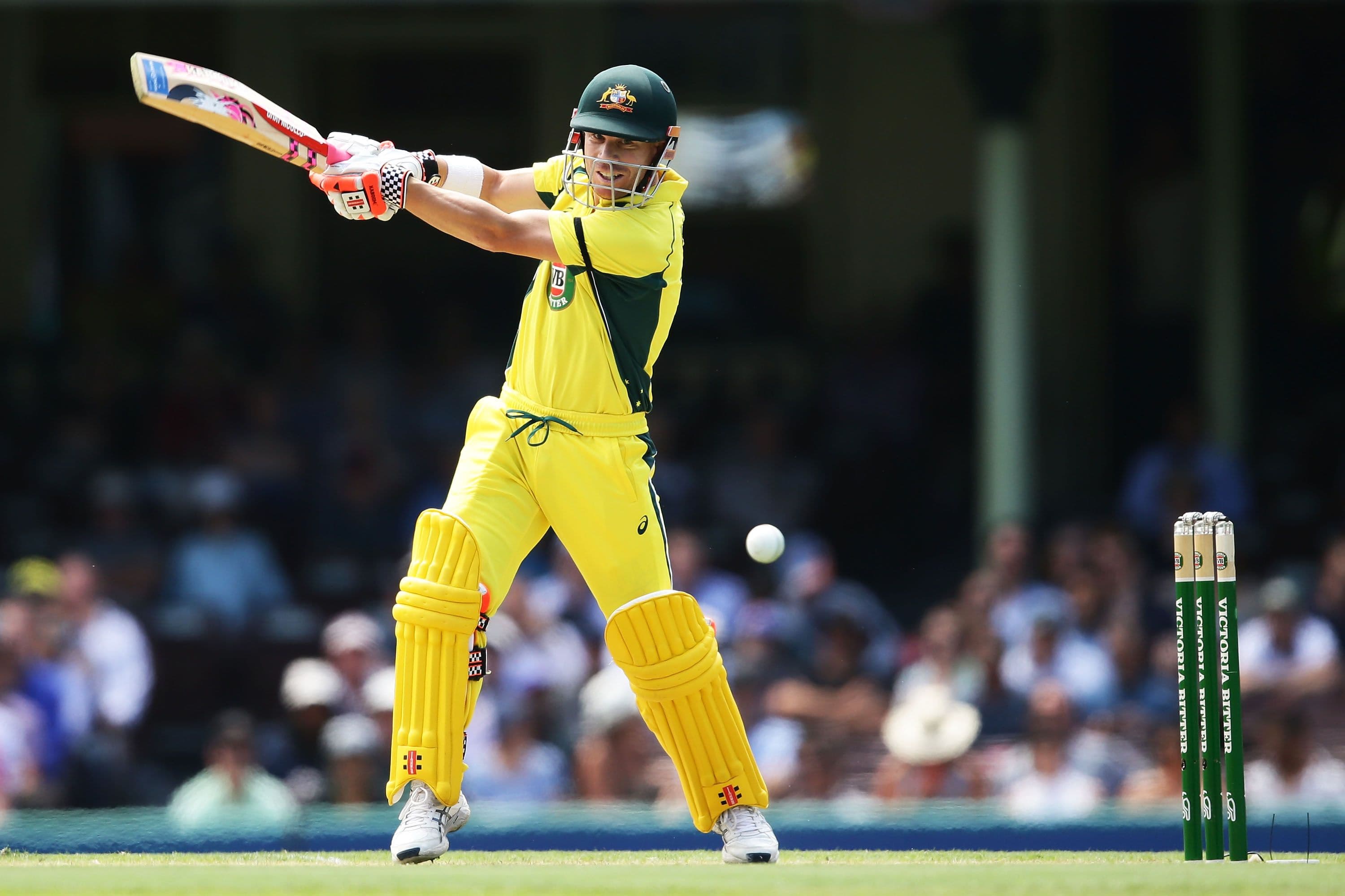 David Warner of Australia bats during game four of the One Day International series