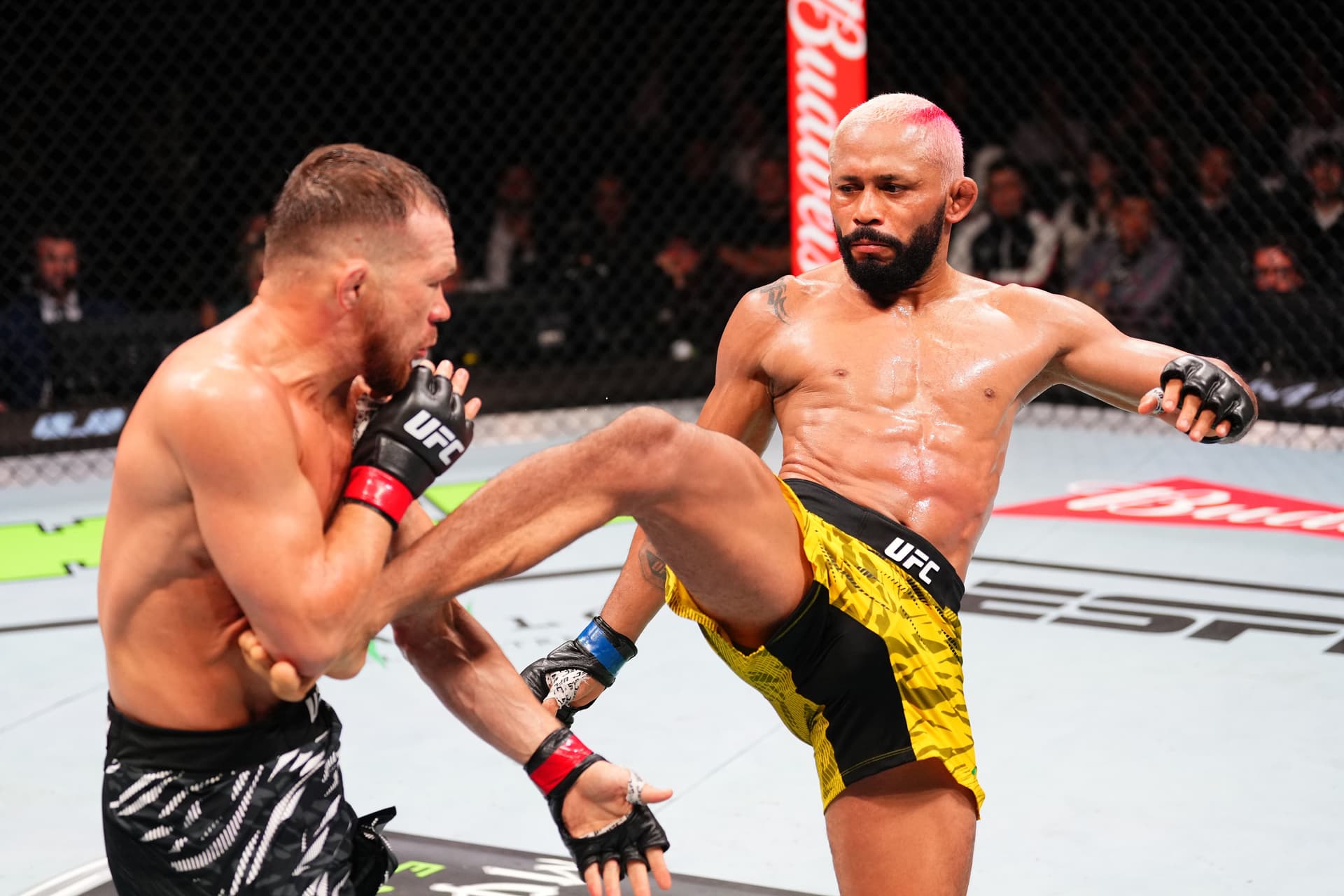 Deiveson Figueiredo and Petr Yan.jpg