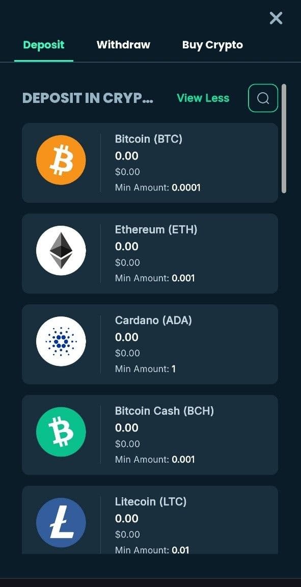 Deposit in Crypto