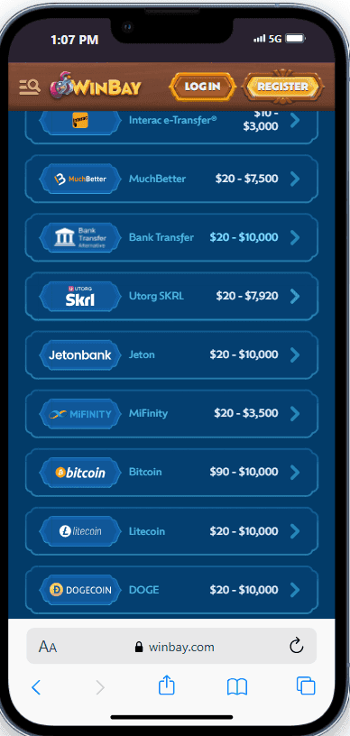 Enter the quantity and payment information
