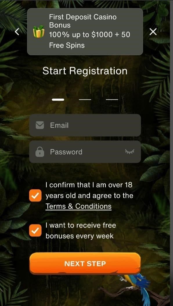 Enter your email address