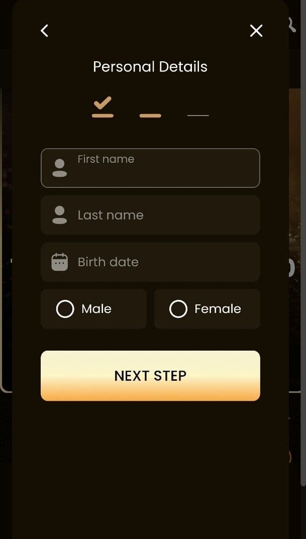 Enter your email address and chosen password.