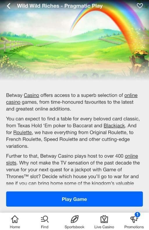 Find Wild Wild Riches in the casino’s slot lobby