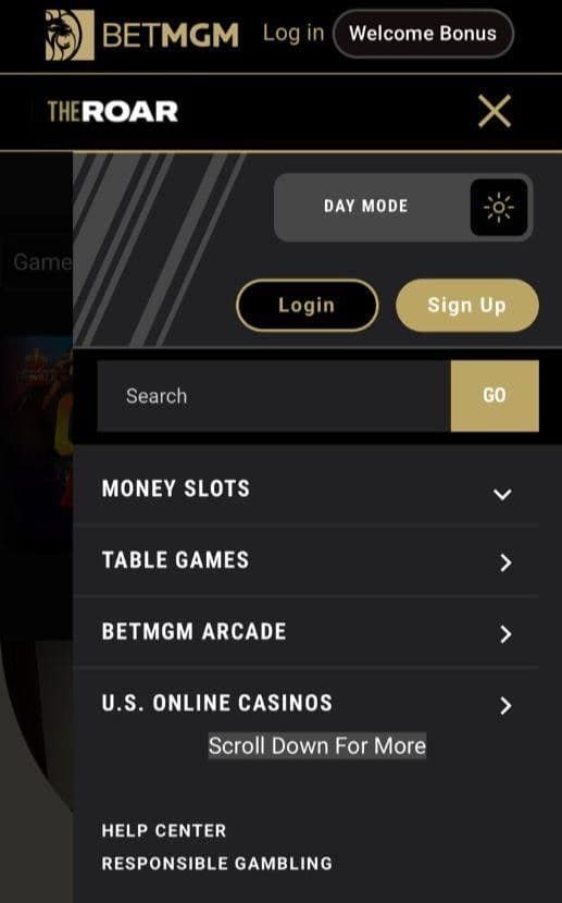 Find a licensed casino like BetMGM on your web browser