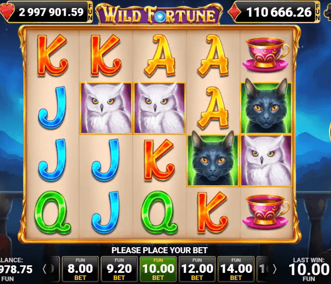 Game Symbols and Payouts wild fortune