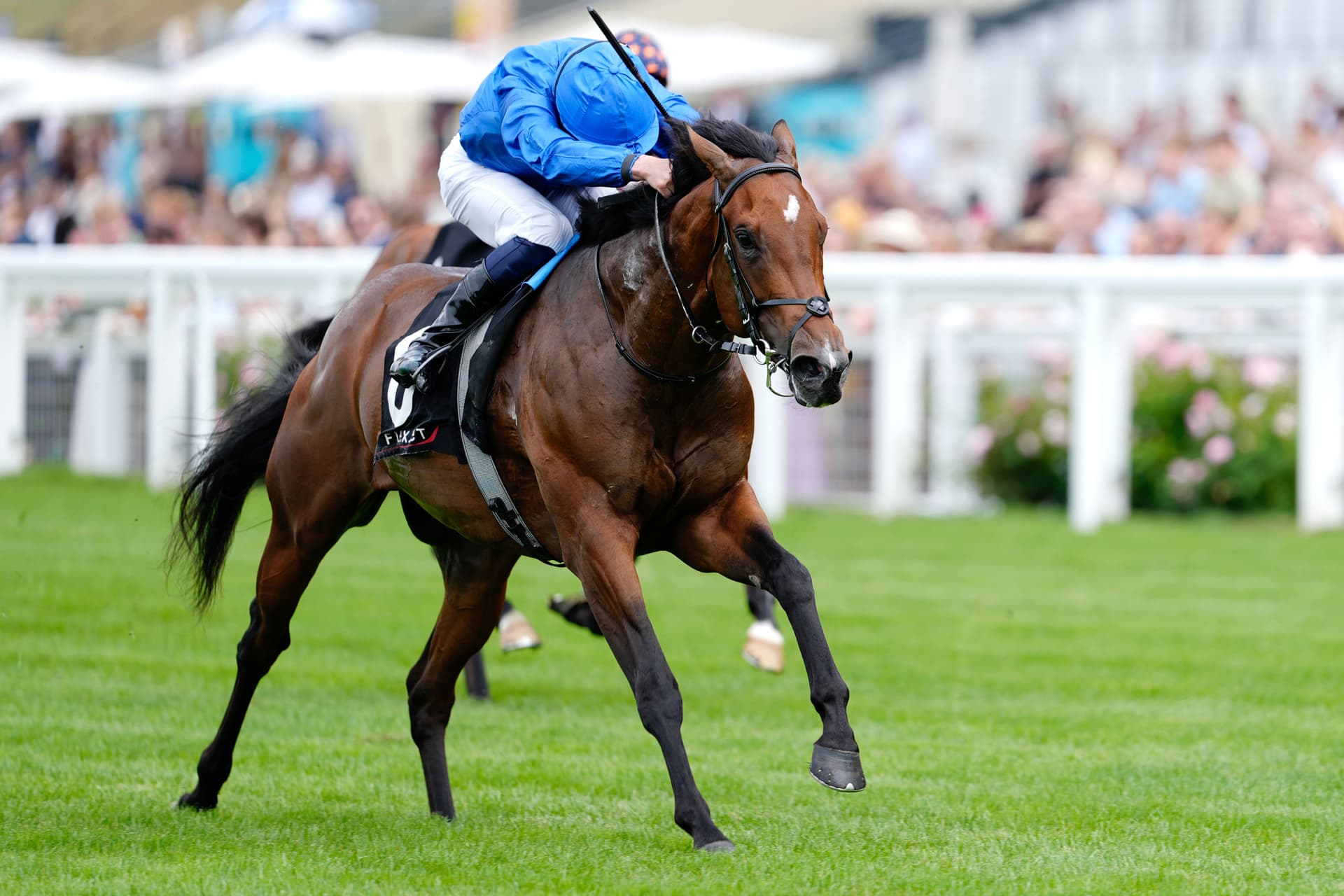Exclusive: Godolphin's Next Star? Time To Turn Shines in Pat Eddery Stakes at Ascot
