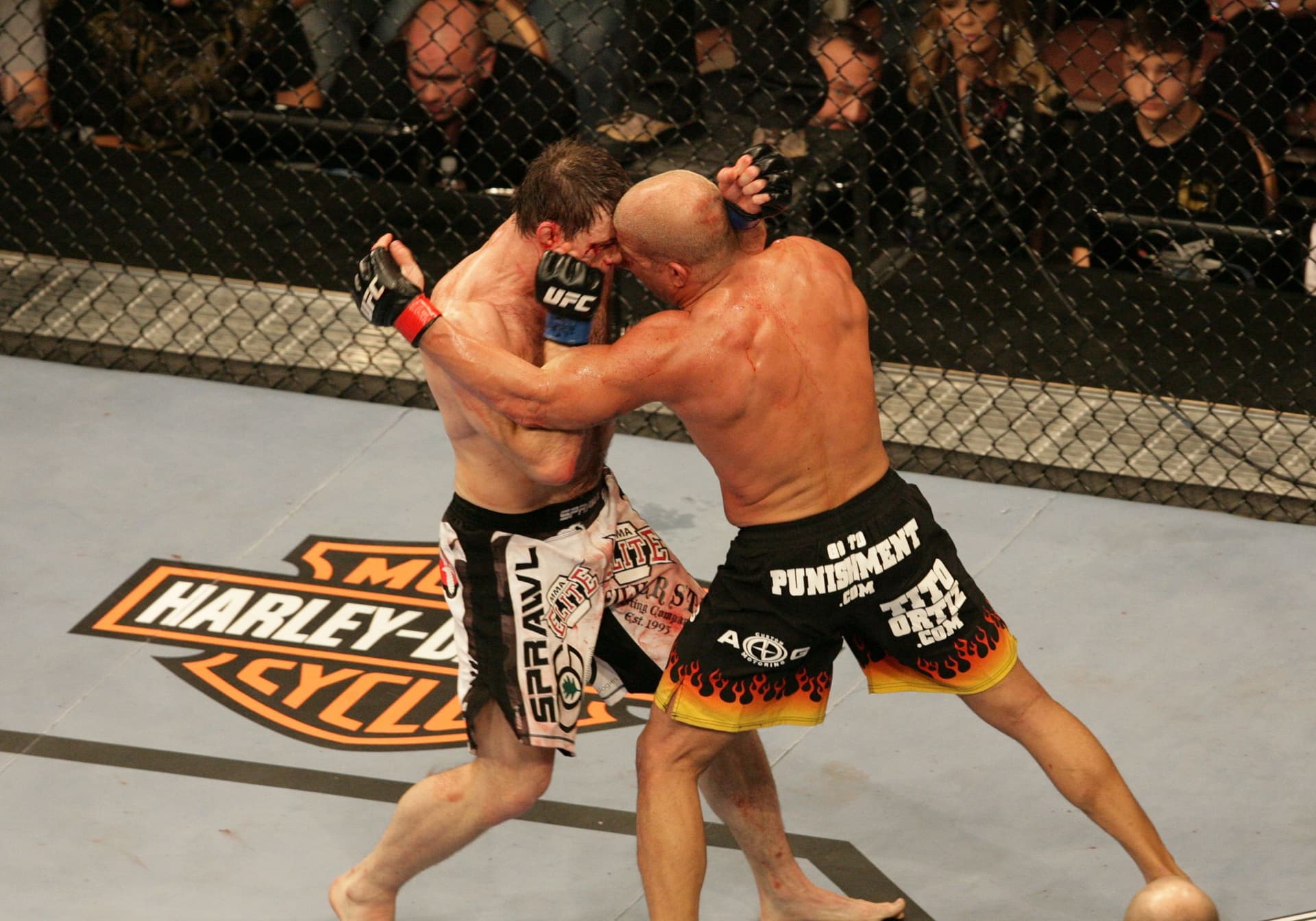 UFC Light Heavyweight fighters Forrest Griffin