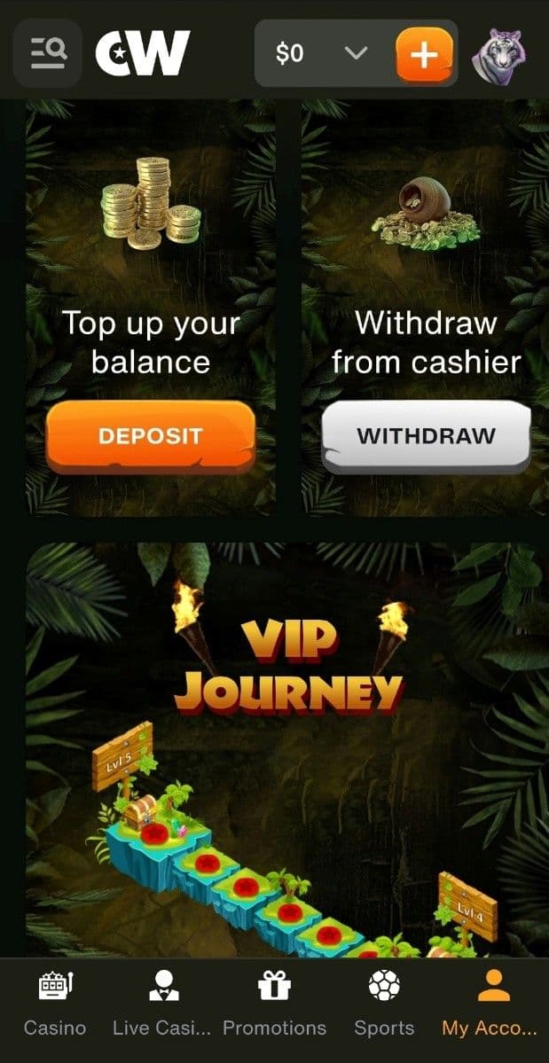 How to Withdraw from Cashwin