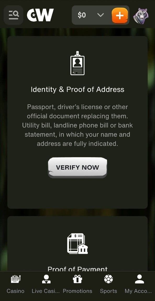 Identity Verification Requirements (KYC) at Cashwin