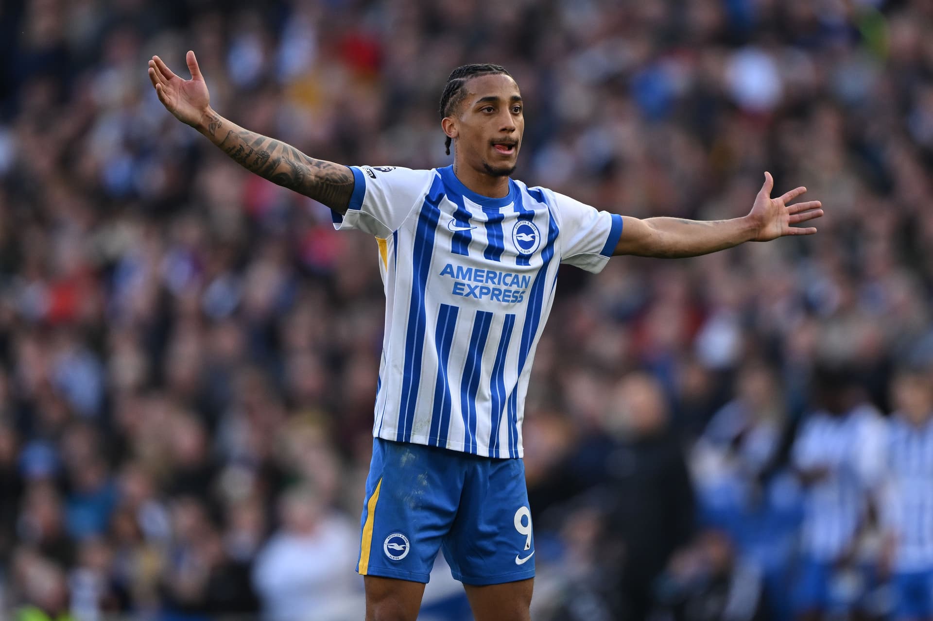 Joao Pedro of Brighton & Hove Albion