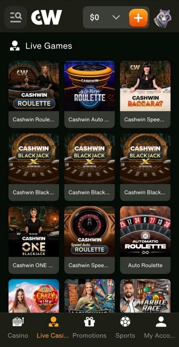 Live Dealer Games – Real Casino Experience at Cashwin