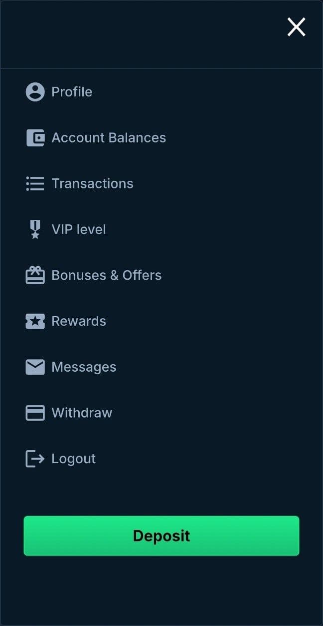 Open the Betpanda.io site