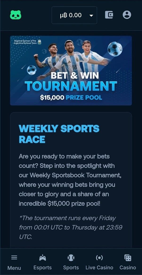 Other Betpanda Promotional Offers