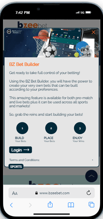 Other Promotions & Limited-Time Offers,.,..png