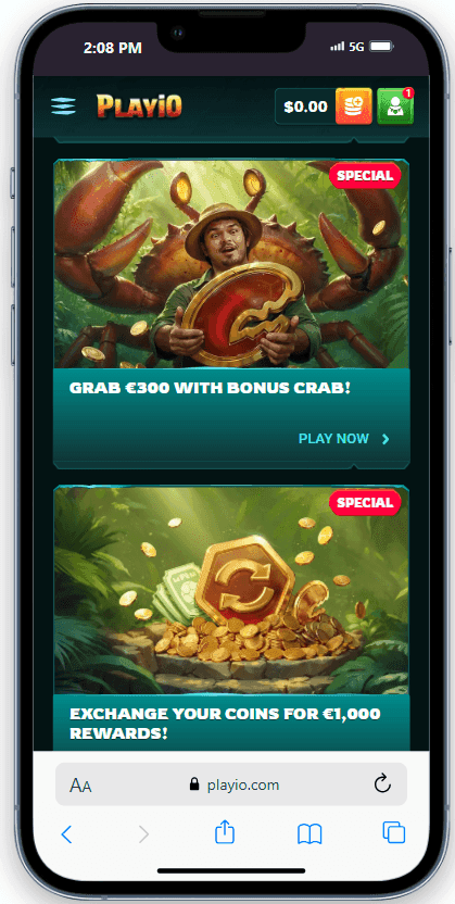 Other Promotions & Limited-Time Offers