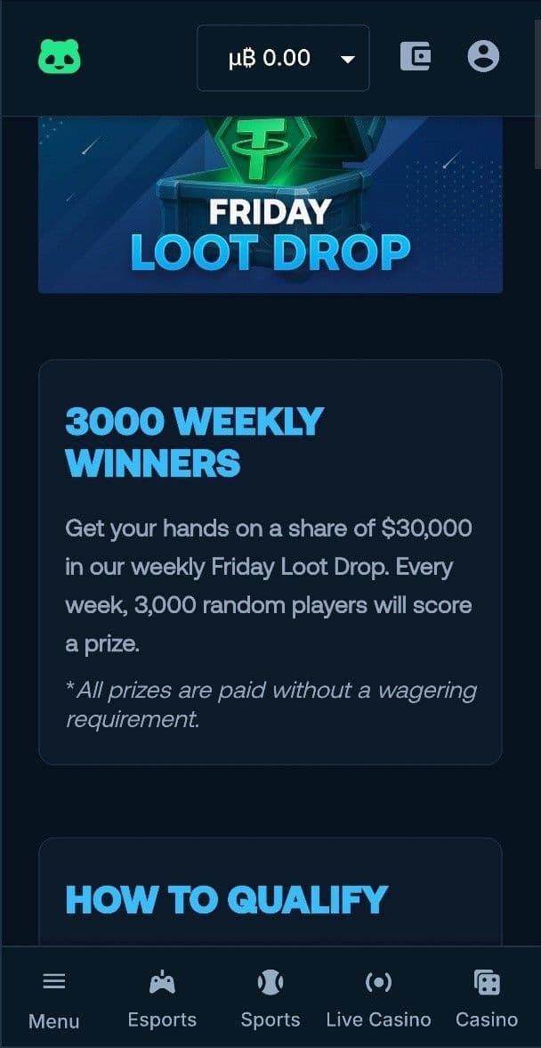 Other Promotions & Limited-Time Offers betpanda