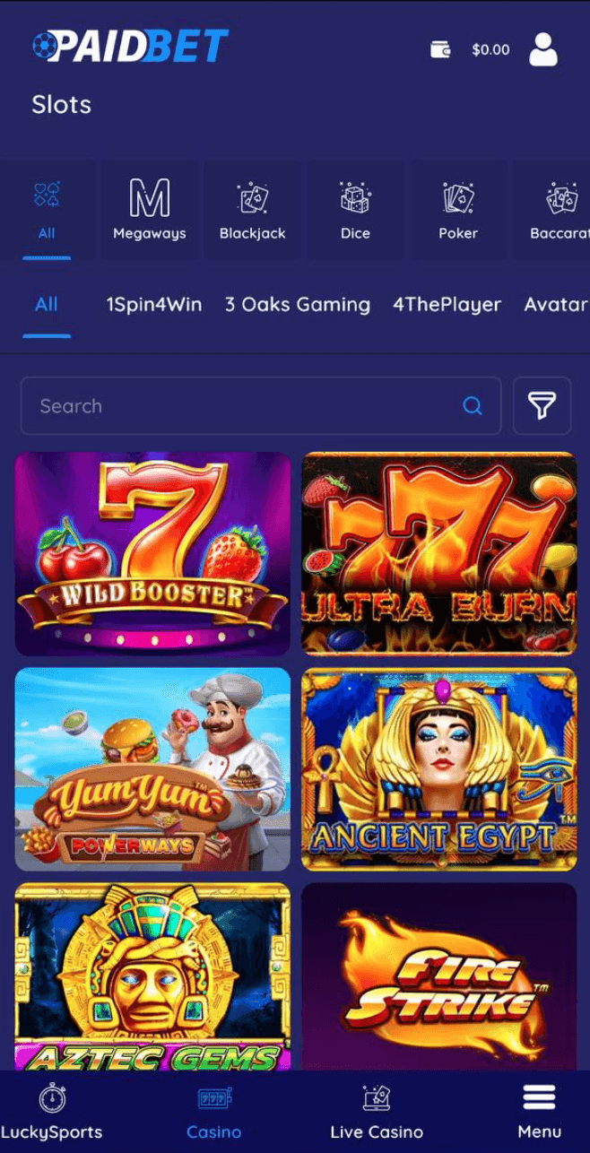 PaidBet Slots.png