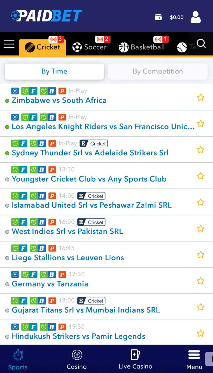 PaidBet Sports Betting Review.png