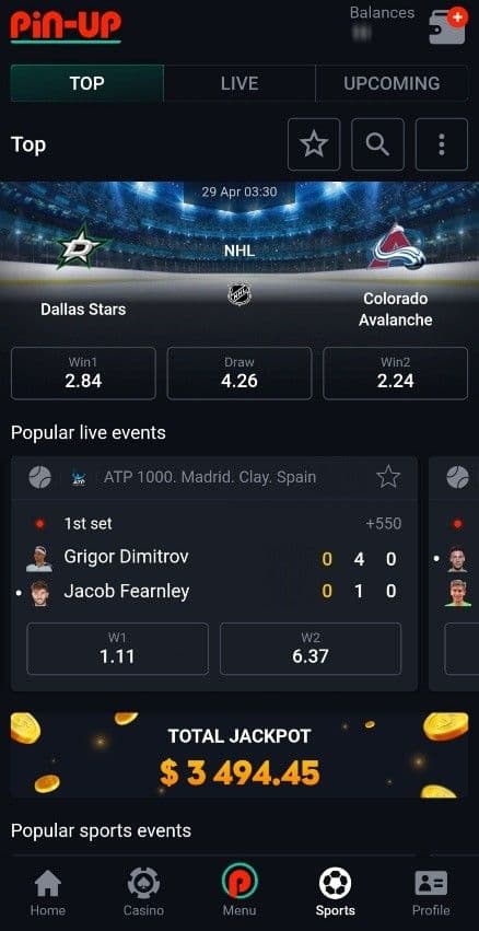 Pin-Up Mobile Experience