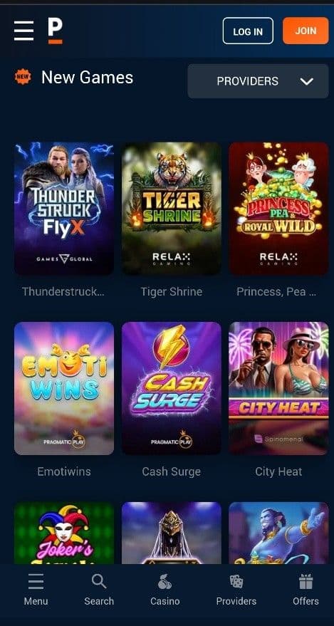 Pinnacle Mobile Experience.jpg