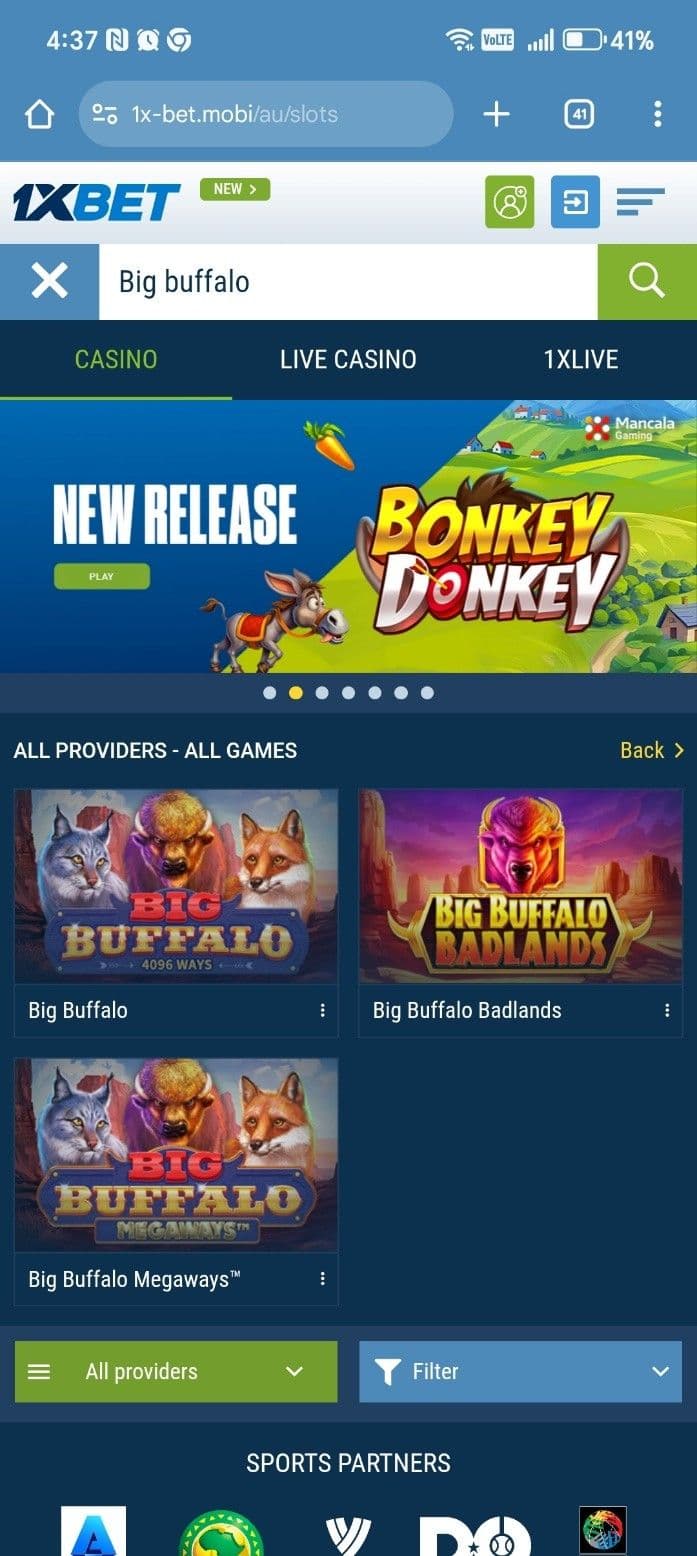 Big Buffalo Slot Playing Guide