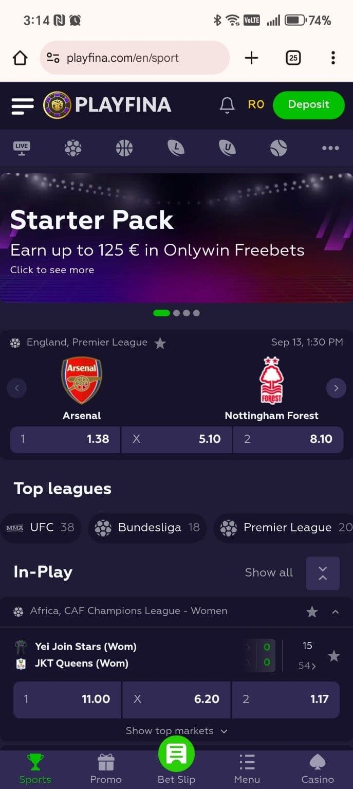 Playfina Sports Betting Review