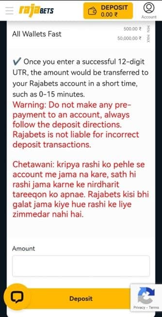 Rajabets deposit methods wallets