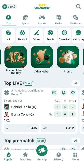 Review of BetWinner User Experience.jpg