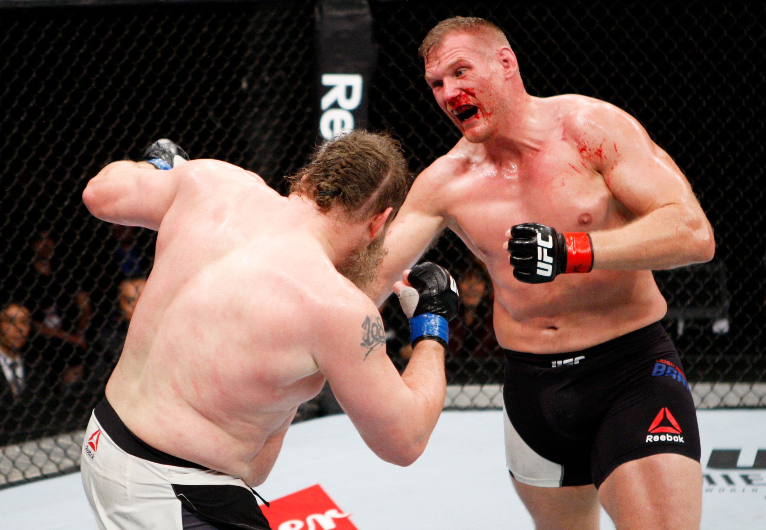 Roy Nelson and Josh Barnett