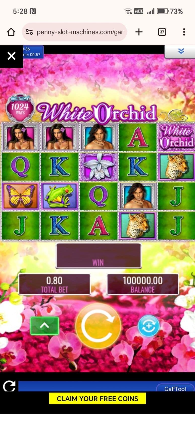 Start spinning the reels white orchid