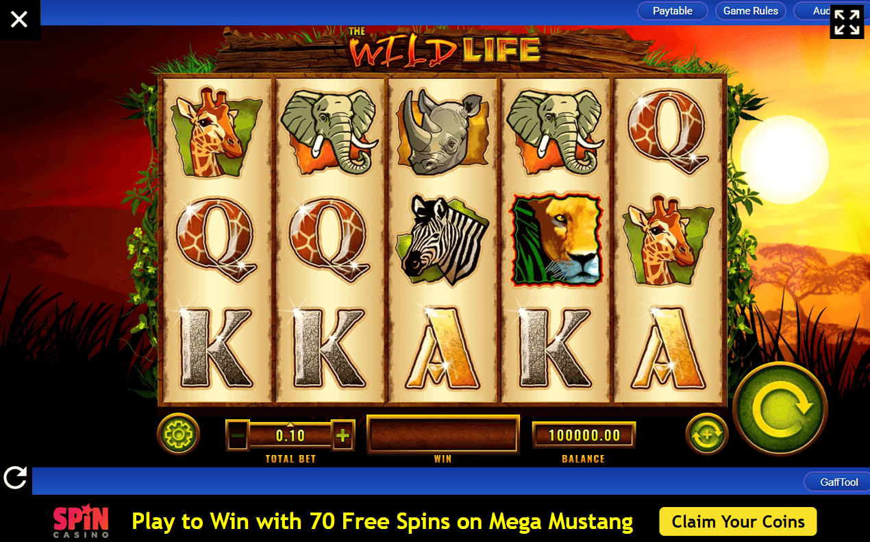 The Wild Life Slot Review