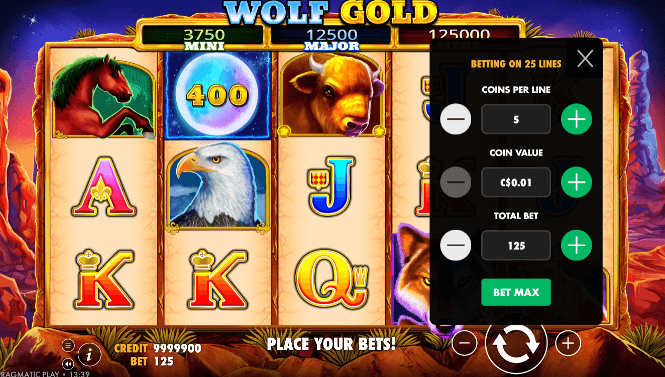 Use the plus and minus buttons to adjust the coins per line