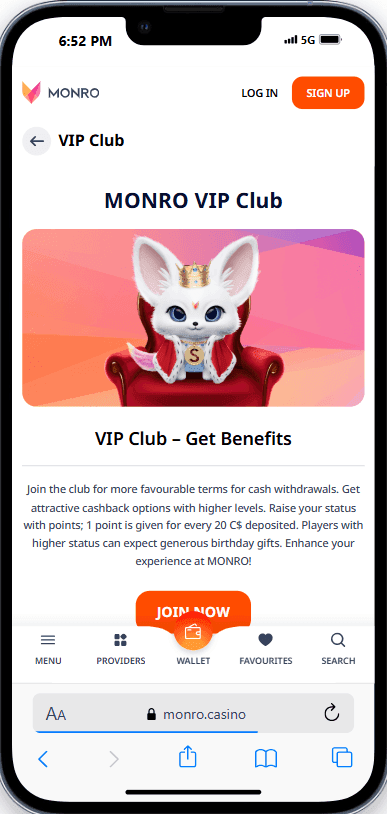 VIP Program & Exclusive Rewards.png