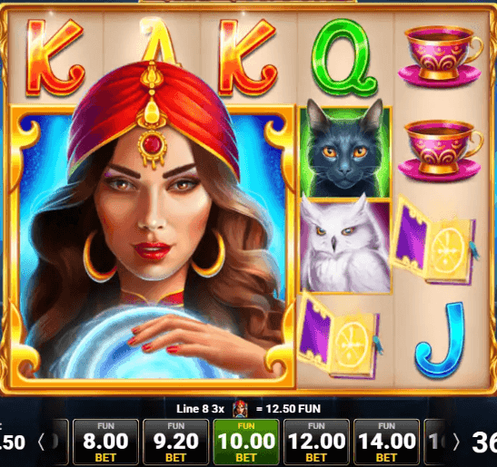 Wild Fortune Slot Review!
