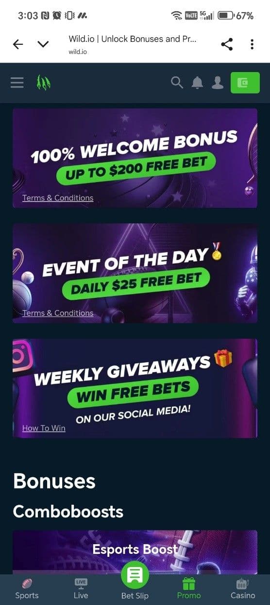Wild.io Have a Sports and Casino Welcome Bonus.jpg
